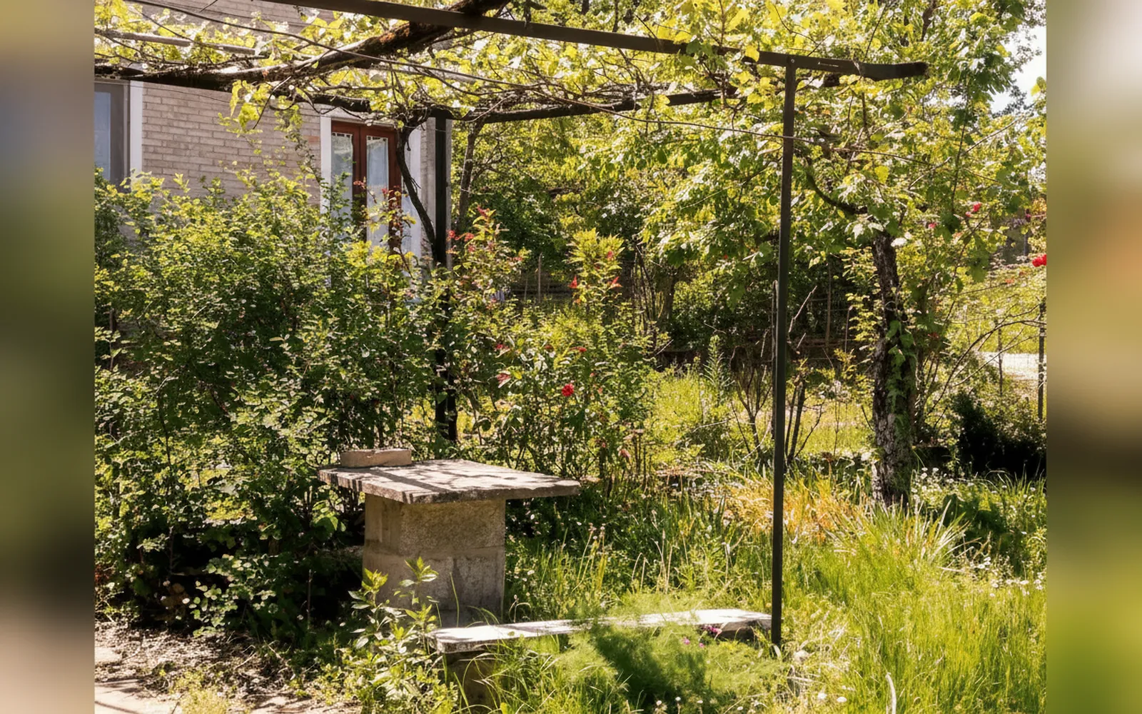 Casa nel verde, Decollatura (Calabria) — galleria foto 37