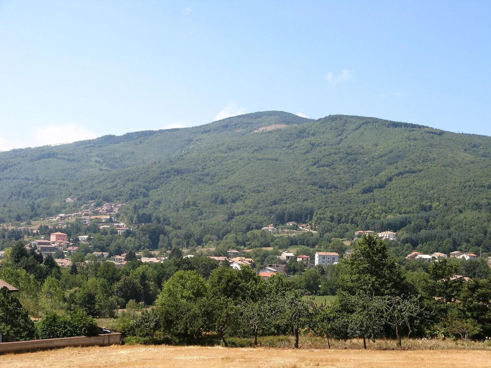 Le case di Decollatura sparse tra gli alberi, con le pendici boscose del Monte Reventino alle spalle sotto un cielo sereno