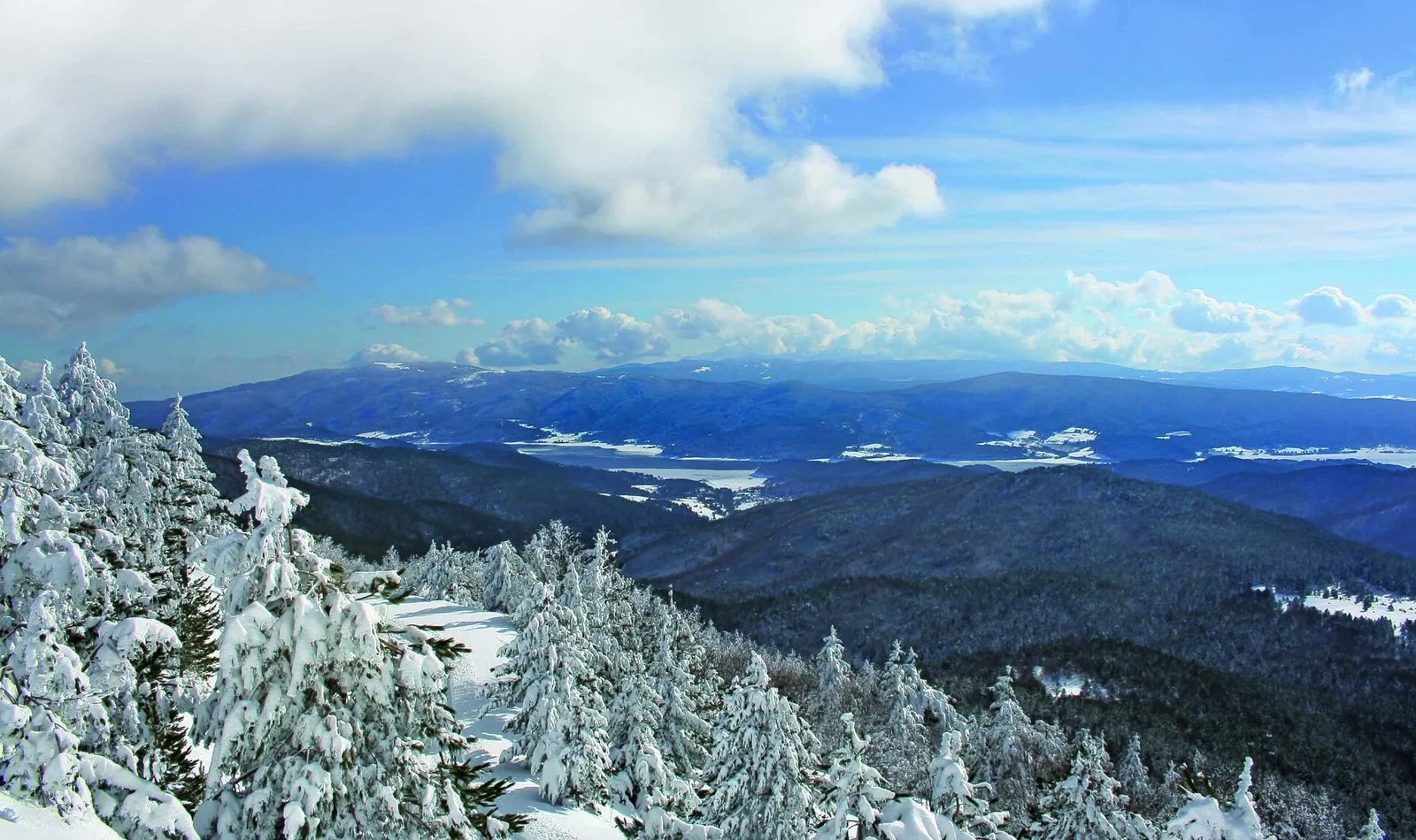 Pini carichi di neve sulle pendici del Monte Botte Donato, con la vallata della Sila innevata e le montagne sotto un cielo azzurro con nuvole